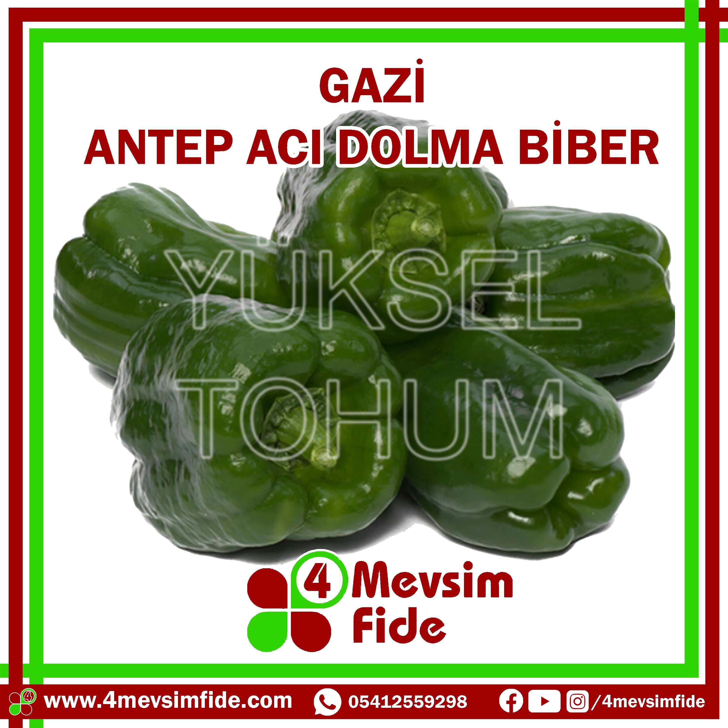 Gazi F1 Dolma